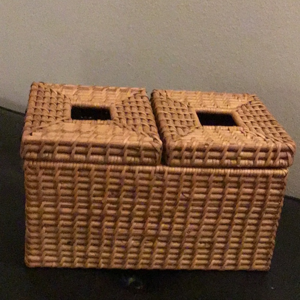 RePosh! Rattan Double Tissue Box